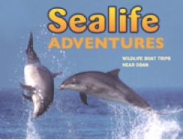 Sealife-Adventures  logo